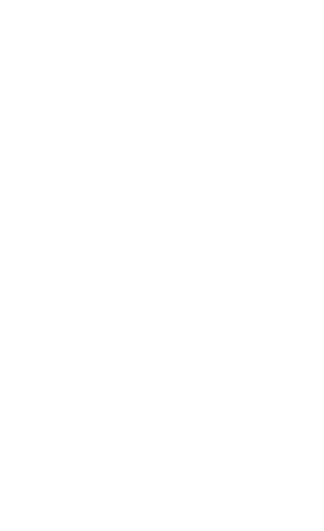 aalam bibi foundation logo