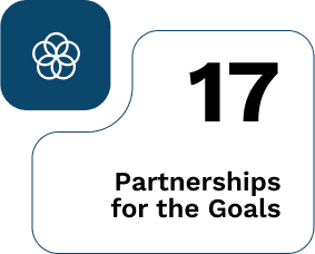 partnerships for the goals