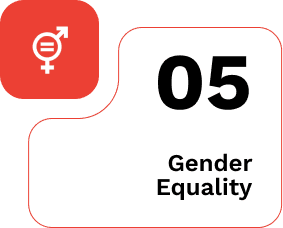 gender equality 